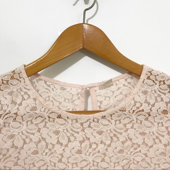 Pale Pink Sheer Lace Cap Sleeve Blouse - Picture 3 of 6